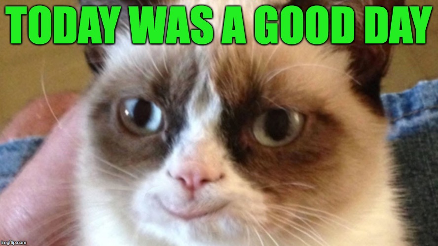 Grumpy Happy Cat | TODAY WAS A GOOD DAY | image tagged in grumpy happy cat | made w/ Imgflip meme maker
