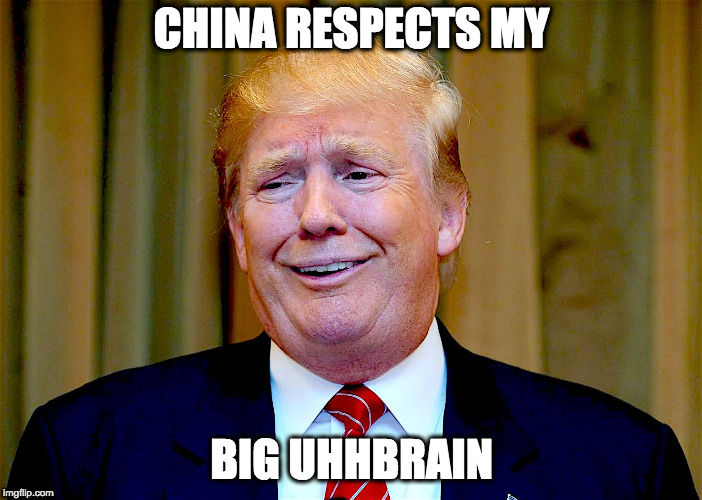 big uhhbrain | CHINA RESPECTS MY; BIG UHHBRAIN | image tagged in donald trump | made w/ Imgflip meme maker