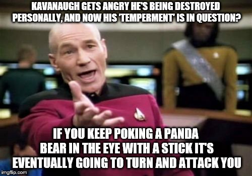 Picard Wtf | KAVANAUGH GETS ANGRY HE'S BEING DESTROYED PERSONALLY, AND NOW HIS 'TEMPERMENT' IS IN QUESTION? IF YOU KEEP POKING A PANDA BEAR IN THE EYE WITH A STICK IT'S EVENTUALLY GOING TO TURN AND ATTACK YOU | image tagged in memes,picard wtf | made w/ Imgflip meme maker