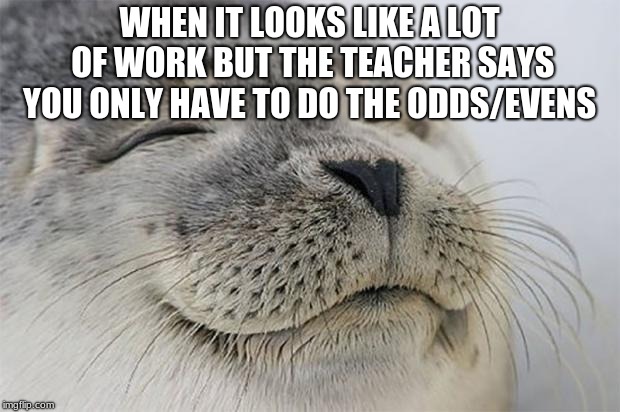 Satisfied Seal | WHEN IT LOOKS LIKE A LOT OF WORK BUT THE TEACHER SAYS YOU ONLY HAVE TO DO THE ODDS/EVENS | image tagged in memes,satisfied seal | made w/ Imgflip meme maker