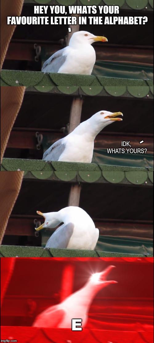 Inhaling Seagull | HEY YOU, WHATS YOUR FAVOURITE LETTER IN THE ALPHABET? -; -; IDK, WHATS YOURS? E | image tagged in memes,inhaling seagull | made w/ Imgflip meme maker