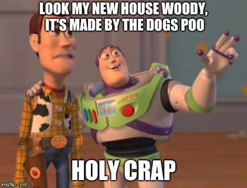 X, X Everywhere | LOOK MY NEW HOUSE WOODY, IT'S MADE BY THE DOGS POO; HOLY CRAP | image tagged in x x everywhere | made w/ Imgflip meme maker