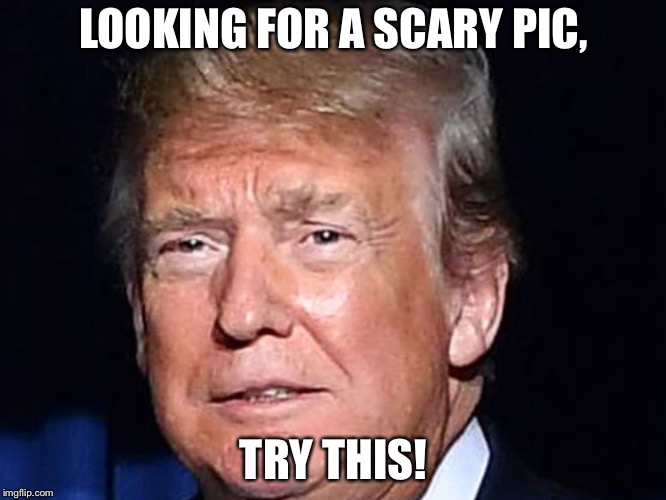 LOOKING FOR A SCARY PIC, TRY THIS! | image tagged in trump | made w/ Imgflip meme maker