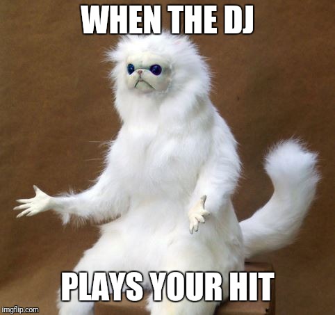 Persian white monkey | WHEN THE DJ; PLAYS YOUR HIT | image tagged in persian white monkey | made w/ Imgflip meme maker