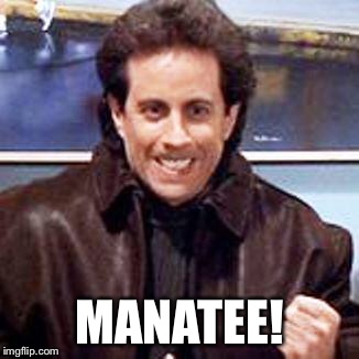 Seinfeld Newman | MANATEE! | image tagged in seinfeld newman | made w/ Imgflip meme maker