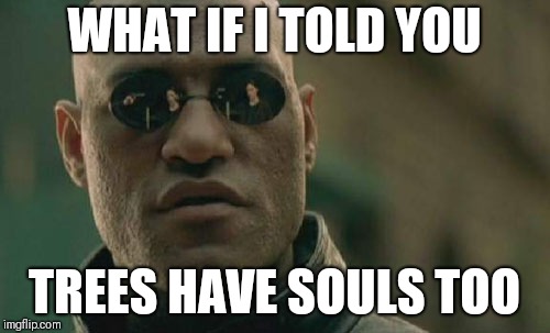 Matrix Morpheus Meme | WHAT IF I TOLD YOU; TREES HAVE SOULS TOO | image tagged in memes,matrix morpheus | made w/ Imgflip meme maker