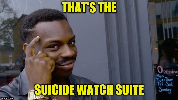 Roll Safe Think About It Meme | THAT'S THE SUICIDE WATCH SUITE | image tagged in memes,roll safe think about it | made w/ Imgflip meme maker