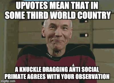 UPVOTES MEAN THAT IN SOME THIRD WORLD COUNTRY A KNUCKLE DRAGGING ANTI SOCIAL PRIMATE AGREES WITH YOUR OBSERVATION | made w/ Imgflip meme maker