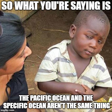 Third World Skeptical Kid | SO WHAT YOU'RE SAYING IS; THE PACIFIC OCEAN AND THE SPECIFIC OCEAN AREN'T THE SAME THING | image tagged in memes,third world skeptical kid,pacific | made w/ Imgflip meme maker