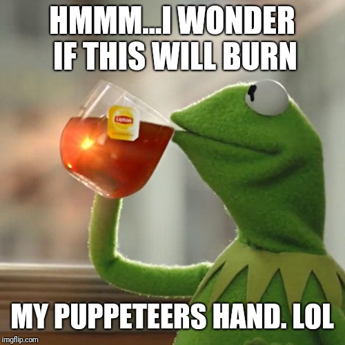 But That's None Of My Business | HMMM...I WONDER IF THIS WILL BURN; MY PUPPETEERS HAND. LOL | image tagged in memes,but thats none of my business,kermit the frog | made w/ Imgflip meme maker