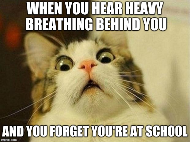 Hey it can also be work but college is more creepy | WHEN YOU HEAR HEAVY BREATHING BEHIND YOU; AND YOU FORGET YOU'RE AT SCHOOL | image tagged in memes,scared cat | made w/ Imgflip meme maker