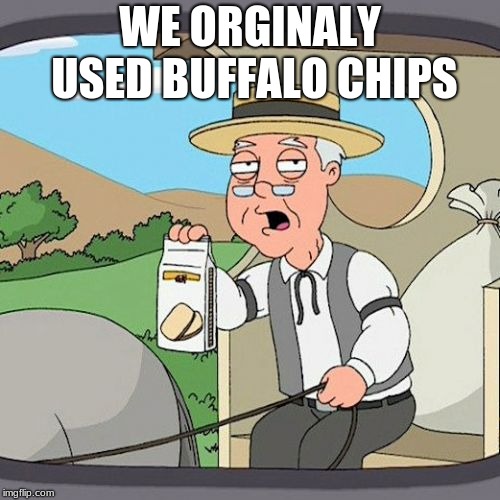 How it all started | WE ORGINALY USED BUFFALO CHIPS | image tagged in pepperidge farm remembers,family guy | made w/ Imgflip meme maker