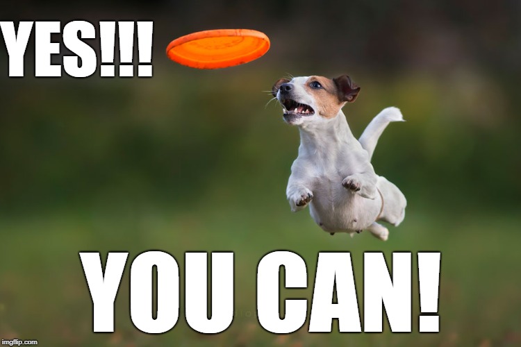 YES!!! YOU CAN! | made w/ Imgflip meme maker