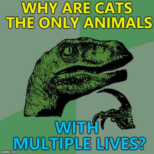 No other animal seems to have more than one... Imgflip