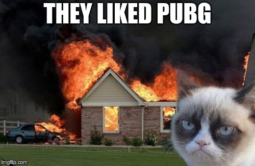 Burn Kitty Meme | THEY LIKED PUBG | image tagged in memes,burn kitty,grumpy cat | made w/ Imgflip meme maker
