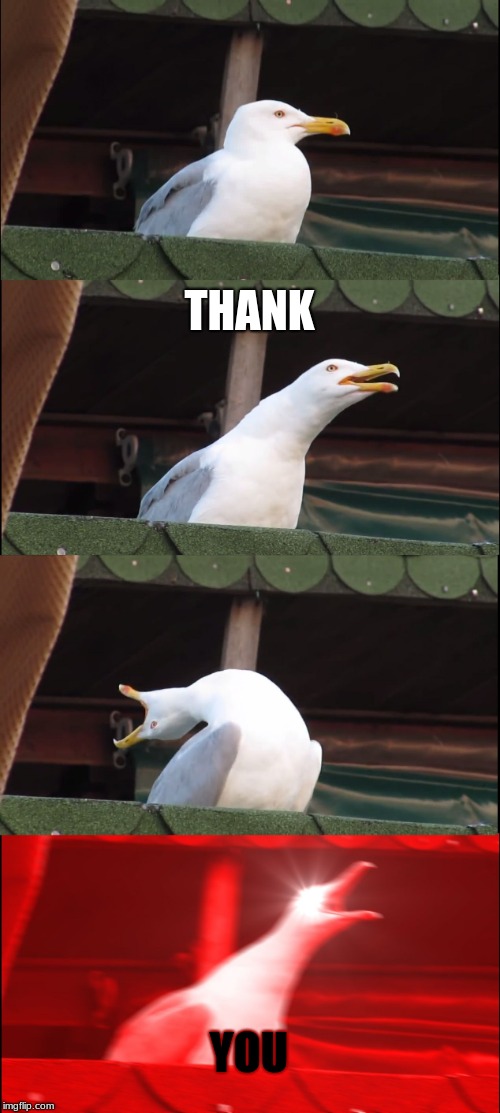 Inhaling Seagull Meme | THANK YOU | image tagged in memes,inhaling seagull | made w/ Imgflip meme maker