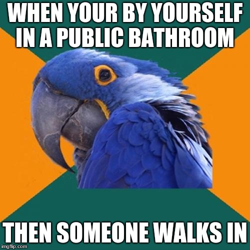 Paranoid Parrot Meme | WHEN YOUR BY YOURSELF IN A PUBLIC BATHROOM; THEN SOMEONE WALKS IN | image tagged in memes,paranoid parrot | made w/ Imgflip meme maker