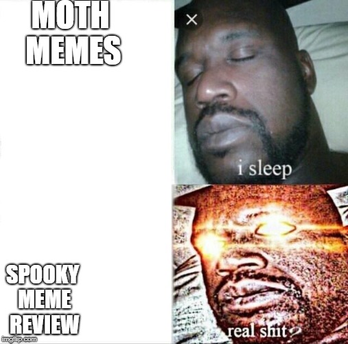 Sleeping Shaq | MOTH 
MEMES; SPOOKY MEME REVIEW | image tagged in memes,sleeping shaq | made w/ Imgflip meme maker