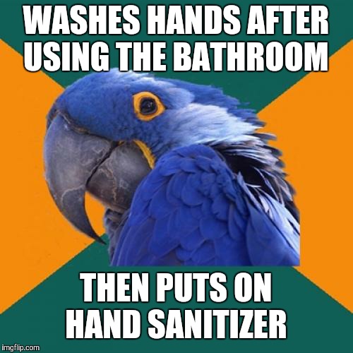 Now I know what you're thinking, "This meme is called Paranoid Parrot, not OCD Parrot." | WASHES HANDS AFTER USING THE BATHROOM; THEN PUTS ON HAND SANITIZER | image tagged in memes,paranoid parrot,bathroom,hand sanitizer,hygiene | made w/ Imgflip meme maker