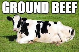 GROUND BEEF | image tagged in animal memes,memes | made w/ Imgflip meme maker