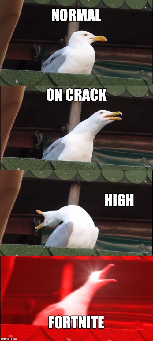 Inhaling Seagull Meme | NORMAL; ON CRACK; HIGH; FORTNITE | image tagged in memes,inhaling seagull | made w/ Imgflip meme maker
