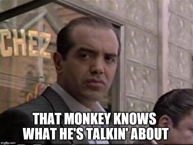 A Bronx Tale | THAT MONKEY KNOWS WHAT HE'S TALKIN' ABOUT | image tagged in a bronx tale | made w/ Imgflip meme maker