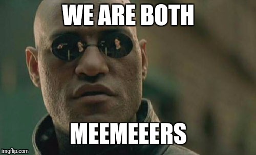 Matrix Morpheus Meme | WE ARE BOTH MEEMEEERS | image tagged in memes,matrix morpheus | made w/ Imgflip meme maker