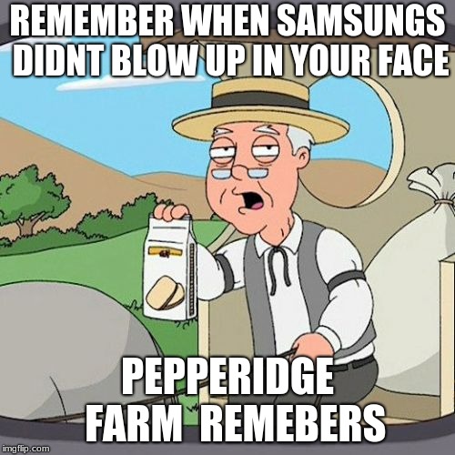 Pepperidge Farm Remembers | REMEMBER WHEN SAMSUNGS DIDNT BLOW UP IN YOUR FACE; PEPPERIDGE 
FARM 
REMEBERS | image tagged in memes,pepperidge farm remembers | made w/ Imgflip meme maker