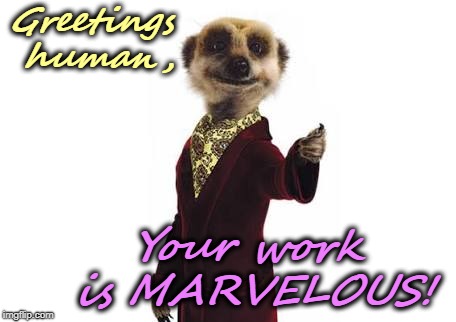 Meerkat |  Greetings human, Your work is MARVELOUS! | image tagged in meerkat | made w/ Imgflip meme maker