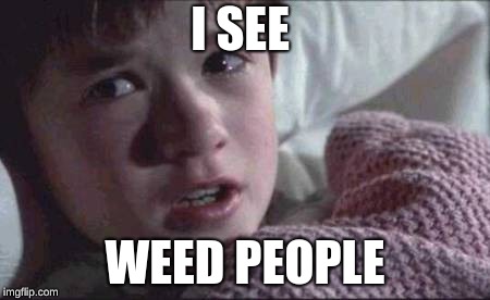 I See Dead People | I SEE; WEED PEOPLE | image tagged in memes,i see dead people | made w/ Imgflip meme maker