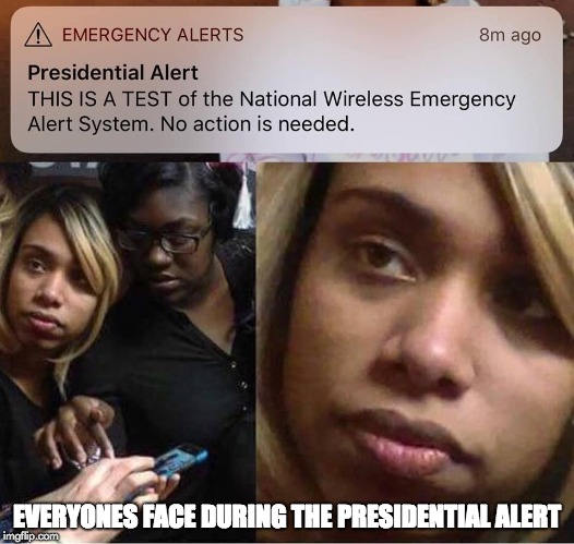 EVERYONES FACE DURING THE PRESIDENTIAL ALERT | image tagged in the face | made w/ Imgflip meme maker