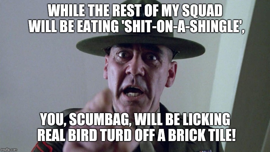 Full Metal Jacket Pointing At You (S.O.A.S. is Chipped Beef w/Gravy) | WHILE THE REST OF MY SQUAD WILL BE EATING 'SHIT-ON-A-SHINGLE', YOU, SCUMBAG, WILL BE LICKING REAL BIRD TURD OFF A BRICK TILE! | image tagged in full metal jacket pointing at you,turd,brick,full metal jacket,memes | made w/ Imgflip meme maker