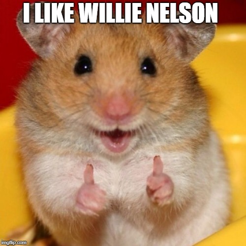 thumbs up | I LIKE WILLIE NELSON | image tagged in thumbs up | made w/ Imgflip meme maker