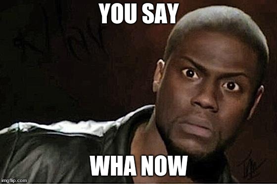 you serious | YOU SAY; WHA NOW | image tagged in memes,kevin hart | made w/ Imgflip meme maker