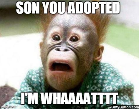 OH SHIT MONKEY | SON YOU ADOPTED; I'M WHAAAATTTT | image tagged in oh shit monkey | made w/ Imgflip meme maker