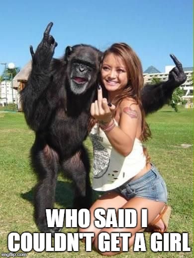 monkey checks oil | WHO SAID I COULDN'T GET A GIRL | image tagged in monkey checks oil | made w/ Imgflip meme maker