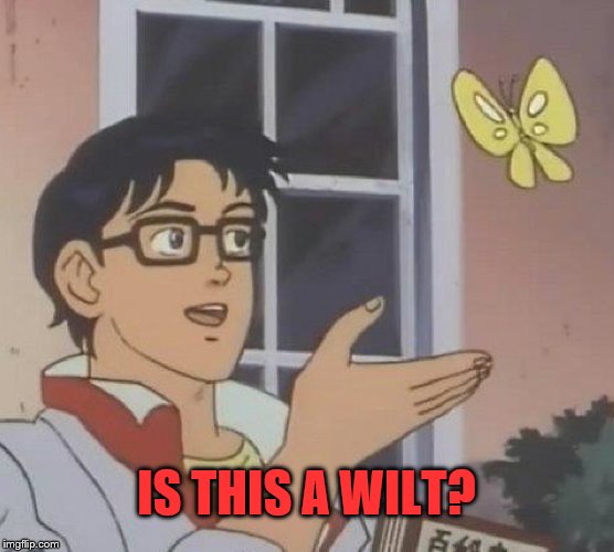 Is This A Pigeon Meme | IS THIS A WILT? | image tagged in memes,is this a pigeon | made w/ Imgflip meme maker