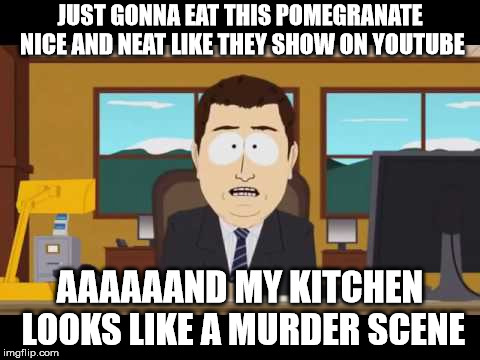 Aand it's gone! | JUST GONNA EAT THIS POMEGRANATE NICE AND NEAT LIKE THEY SHOW ON YOUTUBE; AAAAAAND MY KITCHEN LOOKS LIKE A MURDER SCENE | image tagged in aand it's gone,AdviceAnimals | made w/ Imgflip meme maker