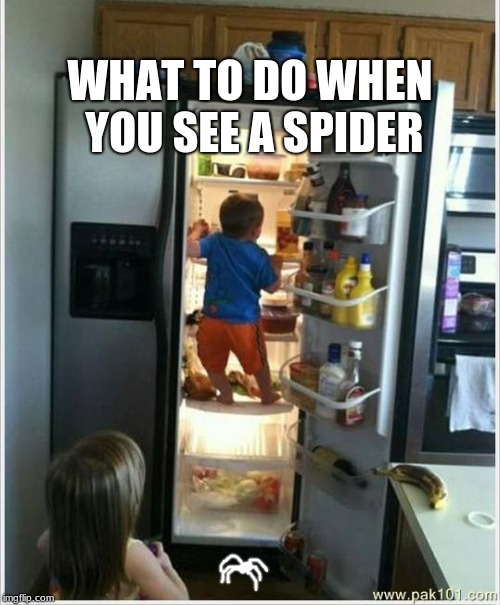 IF I NEVER COME DOWN, IT CAN NEVER GET ME. | WHAT TO DO WHEN YOU SEE A SPIDER | image tagged in baby getting food from fridge | made w/ Imgflip meme maker