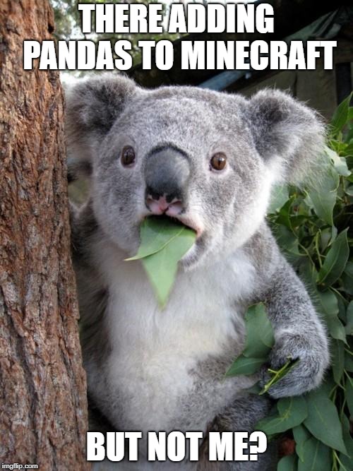 Surprised Koala Meme | THERE ADDING PANDAS TO MINECRAFT; BUT NOT ME? | image tagged in memes,surprised koala | made w/ Imgflip meme maker