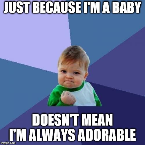 Success Kid | JUST BECAUSE I'M A BABY; DOESN'T MEAN I'M ALWAYS ADORABLE | image tagged in memes,success kid | made w/ Imgflip meme maker
