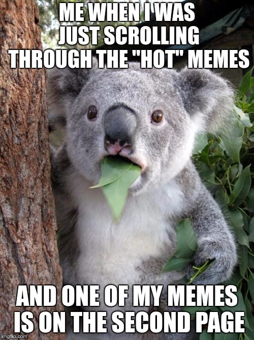 Thank you guys so much! I love you all! <3 |  ME WHEN I WAS JUST SCROLLING THROUGH THE "HOT" MEMES; AND ONE OF MY MEMES IS ON THE SECOND PAGE | image tagged in memes,surprised koala | made w/ Imgflip meme maker