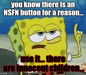 I'll Have You Know Spongebob Meme | you know there is an NSFN button for a reason... use it... there are innocent children... | image tagged in memes,ill have you know spongebob | made w/ Imgflip meme maker