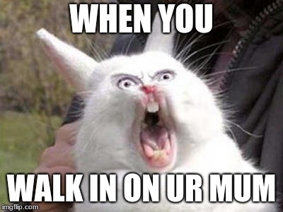 Angry Bunny | WHEN YOU; WALK IN ON UR MUM | image tagged in angry bunny | made w/ Imgflip meme maker