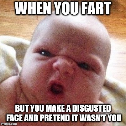 WHEN YOU FART; BUT YOU MAKE A DISGUSTED FACE AND PRETEND IT WASN'T YOU | image tagged in wtf | made w/ Imgflip meme maker