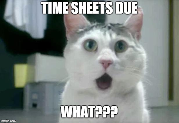 OMG Cat | TIME SHEETS DUE; WHAT??? | image tagged in memes,omg cat | made w/ Imgflip meme maker