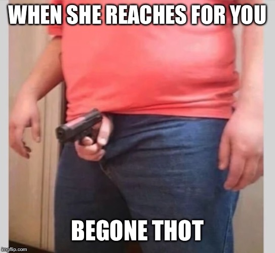 Gun in the pants | WHEN SHE REACHES FOR YOU; BEGONE THOT | image tagged in gun in the pants | made w/ Imgflip meme maker