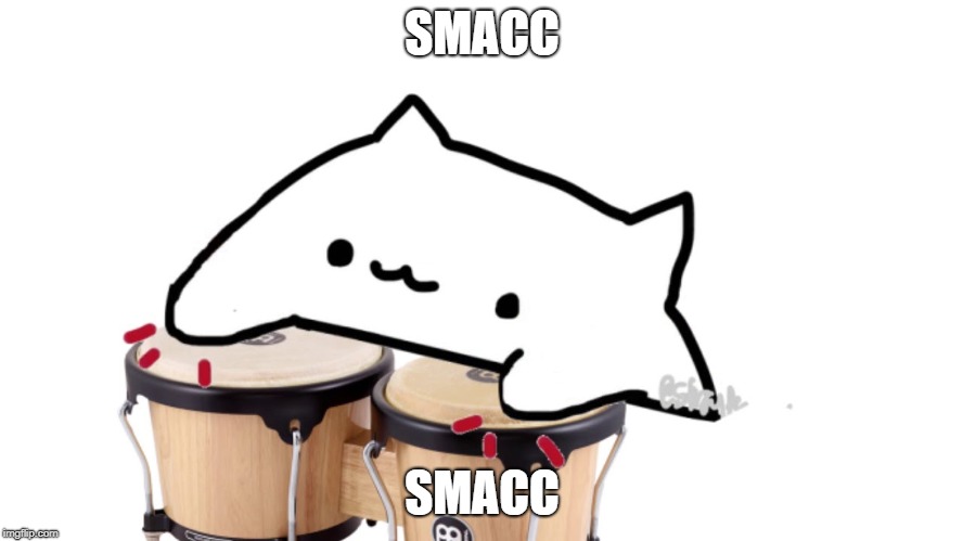Bongo Cat | SMACC; SMACC | image tagged in bongo cat | made w/ Imgflip meme maker