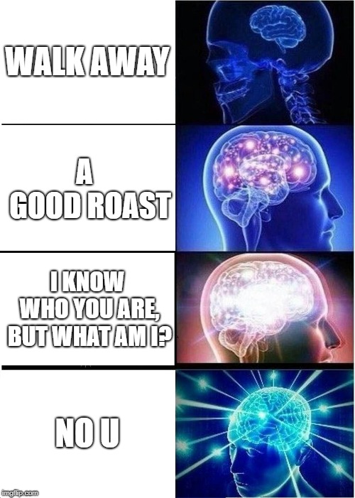 Expanding Brain | WALK AWAY; A  GOOD ROAST; I KNOW WHO YOU ARE, BUT WHAT AM I? NO U | image tagged in memes,expanding brain | made w/ Imgflip meme maker