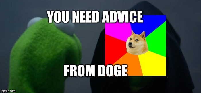 Evil Kermit Meme | YOU NEED ADVICE; FROM DOGE | image tagged in memes,evil kermit | made w/ Imgflip meme maker